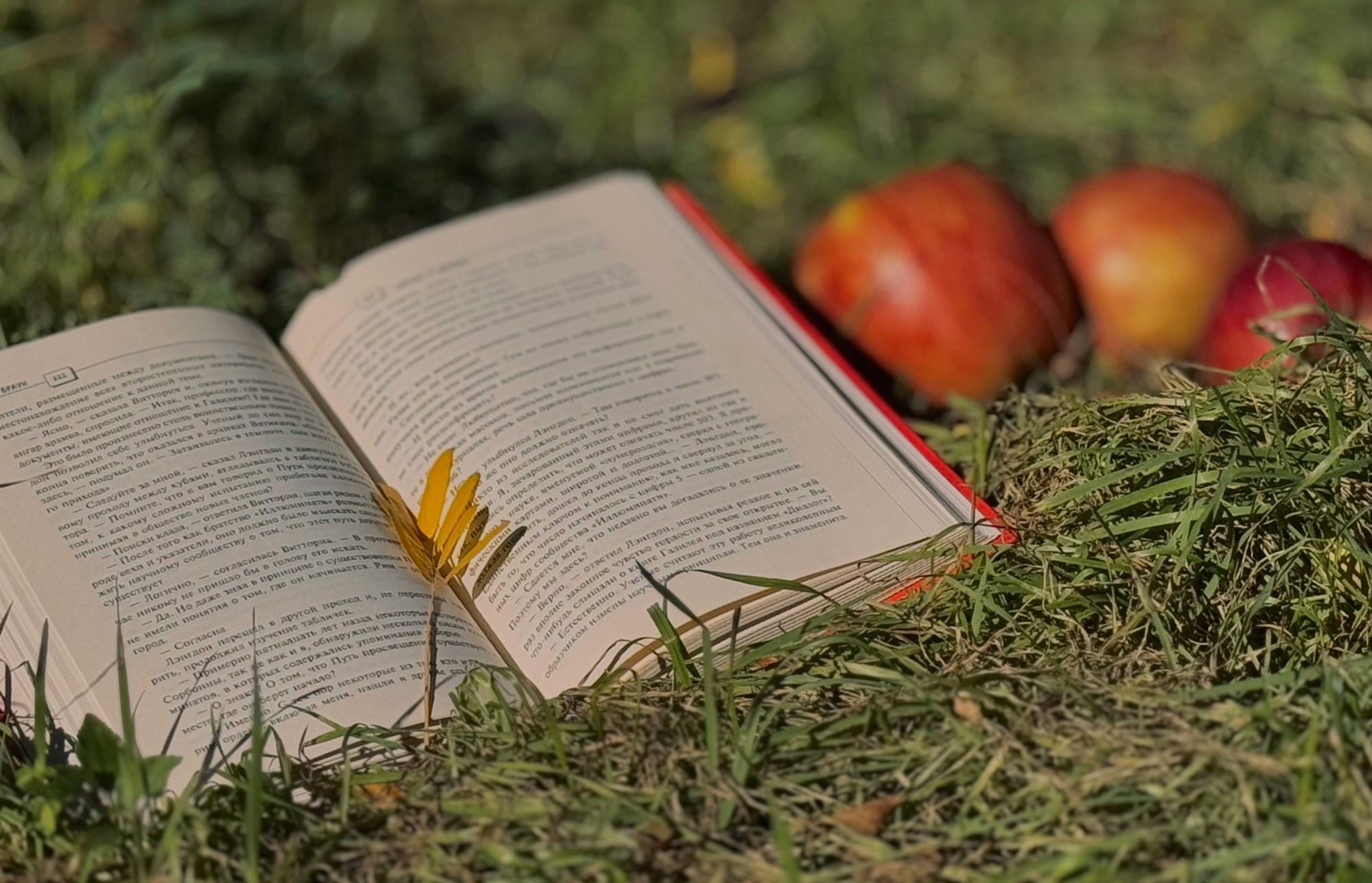 Jak se účinně chránit před klíšťaty a hmyzem: praktický průvodce pro každého