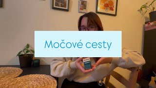 Močové cesty