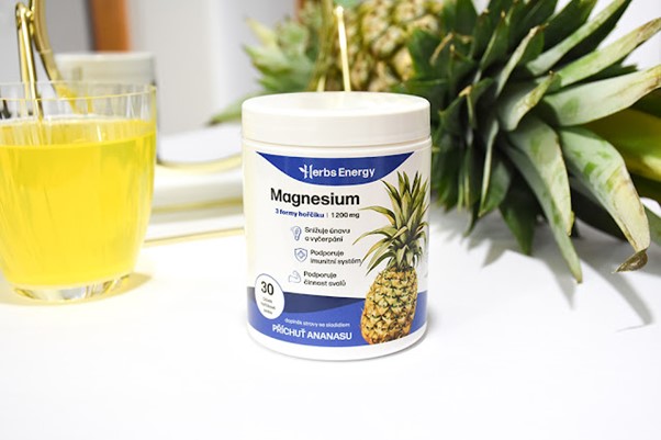 Vysoce vstřebatelný hořčík Herbs Energy