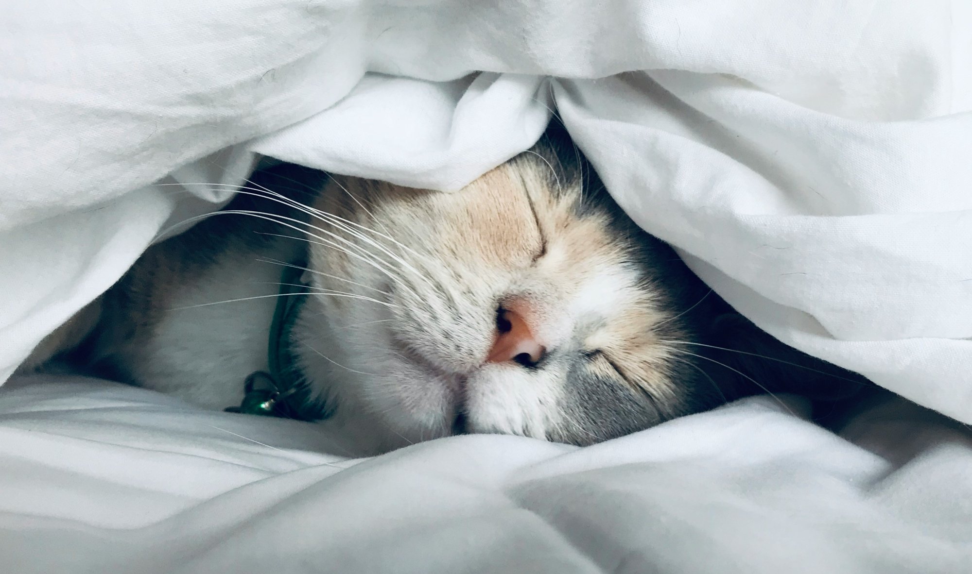 Stres a spánek: proč spolu souvisí více, než si myslíme