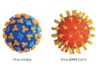 Testy na chřipku a ostatní onemocnění