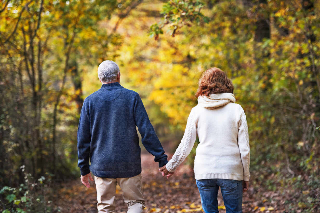 a-rear-view-of-an-active-senior-couple-walking-in-an-autumn-nature-holding-hands-HPIF27567