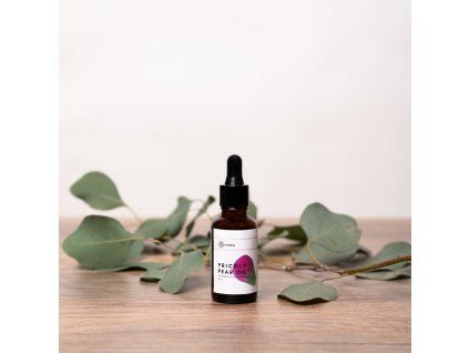 2f16f5258ca58c7484263b8ee6d13451