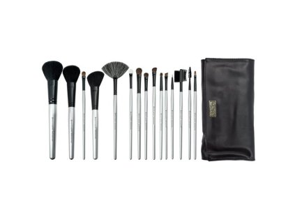 Royal & Langnickel BRUSH ESSENTIALS Sada štětců, 15 ks