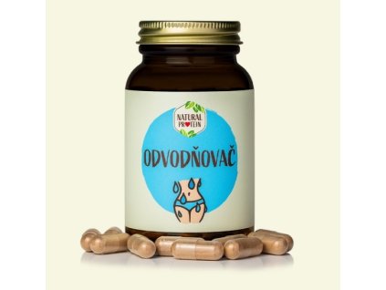 Odvodňovač