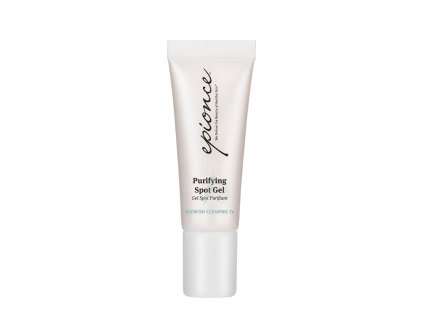 2022 4 5 Epionce Products Website purifyingspotgel