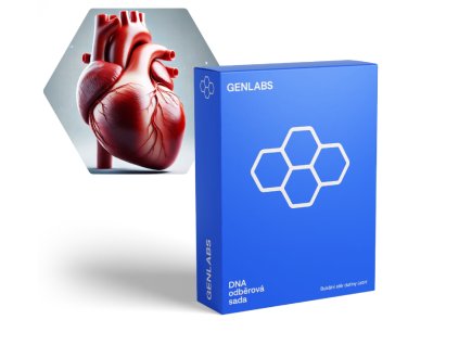 Kardiovaskulární onemocnění