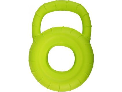 DT CALLUM TRAINING DISC HANDLE LIME 25CM 2204202111290453290