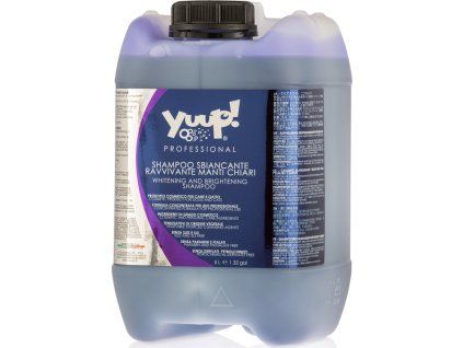 ba69bb1e659ceb85b824a2be766f6347