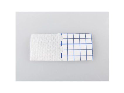 ELASTPORE 15 cm x 10 m