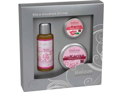 saloos DK exkluzive ruze