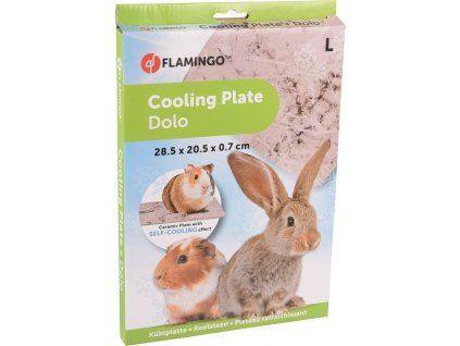 8cdb534838d7dcbdc9a567129fc9a124