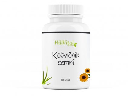 1088 6 kotvicnik zemny