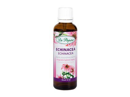 echinacea