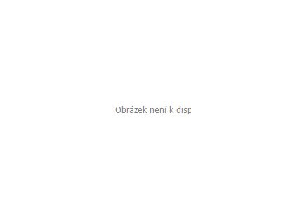 LUBA vlhčený toaletní papír - levandule, 50 ks