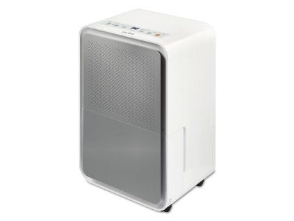 vyr 392stylies regulus 1