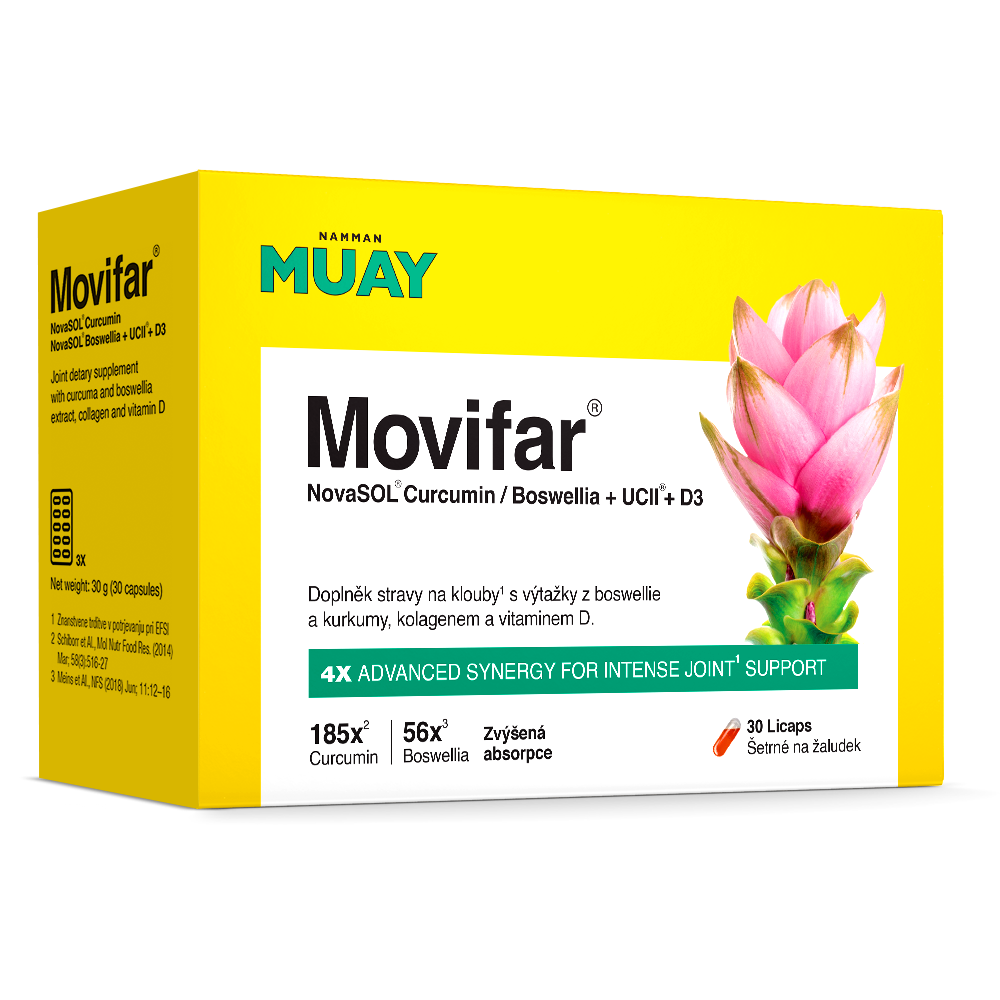 Namman Muay Movifar