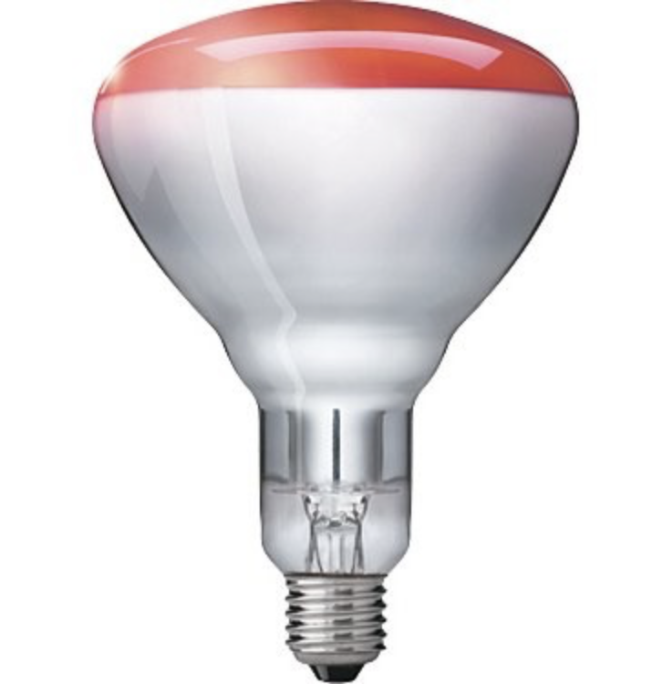 BEURER Žárovka náhradní INFRA 100W