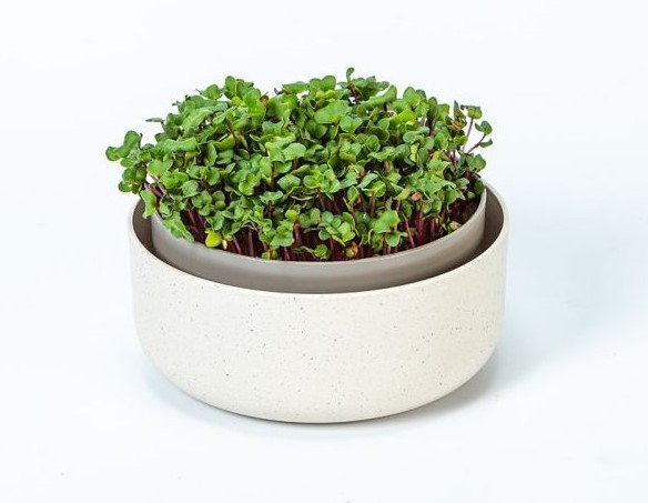 Plastia Microgreens kulatý, slonová kost,16cm