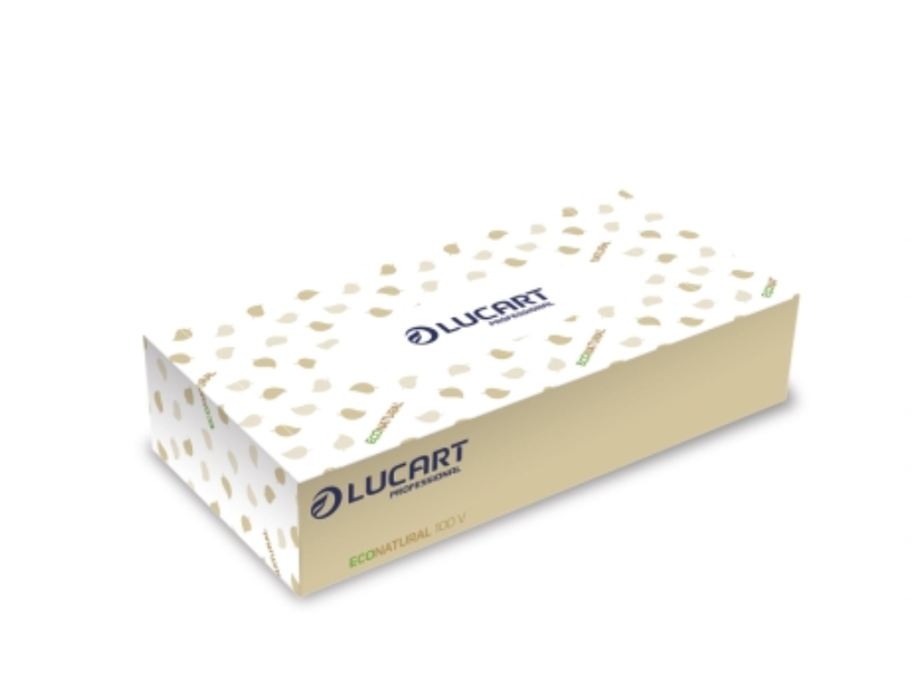 Lucart Professional LUCART ECONATURAL - papírové kapesníčky