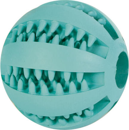 DENTAfun míč s mátou TRIXIE