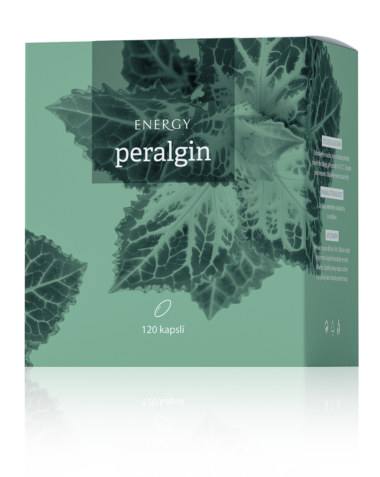 Energy Peralgin 120 tabl.