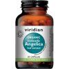 1.icelandic angelica 30 kapsli organic