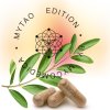 119689 1 mycomedica mystomach 90 kapsli