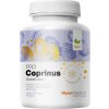 119770 mycomedica coprinus pro 90 kapsli