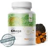 119785 2 mycomedica chaga pro 90 kapsli