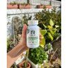 Reflex Supergreens & Gut Support, 90 ks (Varianta Supergreens and Gut Support 90 kapslí)