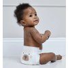 eco nappies designs bear 1024x1024