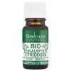 saloos EO BIO eukalyptus citriodora 5ml