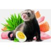 Brit Animals FERRET complete, krmivo pro fretky, 700 g