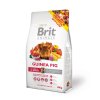 Brit Animals GUINEA PIG complete, krmivo pro morčata, 300 g