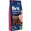 Brit Premium by Nature krmivo pro mladé psy velkých plemen, 15 kg