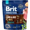 Brit Premium by Nature krmivo pro citlivé psy s jehněčím, 1 kg