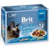 Brit Premium Cat Kapsičky pro kočky filety ve šťávě MULTIPACK 4x3 ks, 1020 g