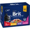 Brit Premium Cat Kapsičky pro psy MASOVÝ a RYBÍ MIX (kuře, hovězí, treska, pstruh) 4x3 ks, 1200 g