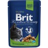 Brit Premium Cat Kapsička pro kastrované kočky s kuřecími kousky, 100 g