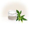 CBD makeup vzorky