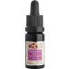 Kojenecký olej na zoubky Jakoubek, 10ml