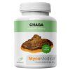 chaga vypis.2325775265