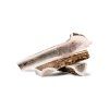 parohac jelen 1080x[1]