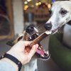 Paroháč - Jelený - půlený