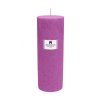 2495 prirodni vonna svicka palmova aromka valec prumer 6 4 cm vyska 17 5 cm divoka brusinka