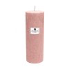 2504 prirodni vonna svicka palmova aromka valec prumer 6 4 cm vyska 17 5 cm brazilska papaya