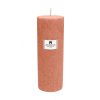 2519 prirodni vonna svicka palmova aromka valec prumer 6 4 cm vyska 17 5 cm skorice