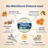 4134 5 purity vision bio mesickova zinkova mast 150 ml