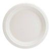 TALIRKY papirove Eco bile 17cm 6ks 55TPP71008